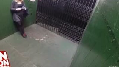 Asansörde korkunç arı şakası