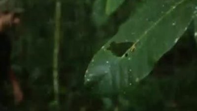 Kendisini yılana yem etti