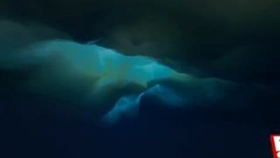 Dokunduğunu öldüren ölüm sarkıtı