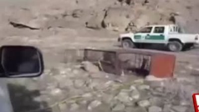 Leopar kafesinden kaçtı adamı vahşice öldürdü