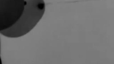 Dudaklarında Arzu - Zeki Müren ( Sevinç Pekin )