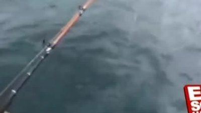 Balıkçı tuttu köpekbalığı çaldı