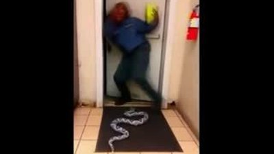 Korkunç yılan şakası