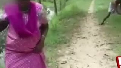 Hindistanlı adamın yılanı öldürme şekli hayvan severleri kızdırdı