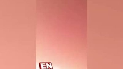 Yılanın doğum anı böyle görüntülendi