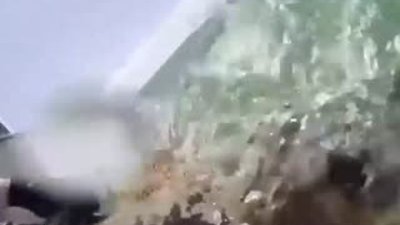 Su kaplumbağası gözünden denizaltı