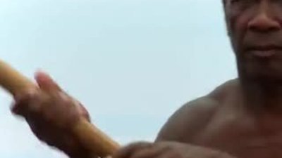 Köpek Balığı Çağırma Kültürü