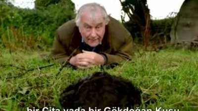 Dünya'nın en hızlı organizması