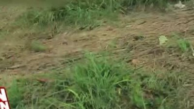 Uyuyan sevgilisini hamam böcekleriyle çadıra kilitledi