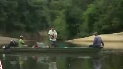 Su dünyasının korkulu rüyası: Vampir balığı