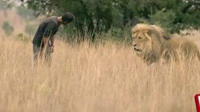 Aslana ısıran adam 