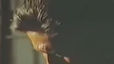 Cüneyt Arkın hapishane kavgası