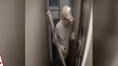 Asansörde yapılan harika şaka