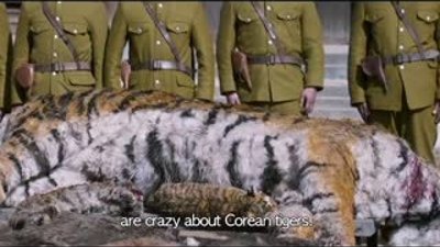 The Tiger Fragman HD Min-sik Choi