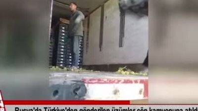 Türkiye'den gönderilen üzümler çöp kamyonuna atıldı