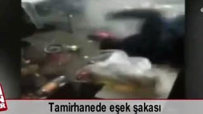 Tamirhanede eşek şakası