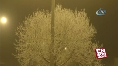 Ardahan’da sis ulaşımı aksatıyor