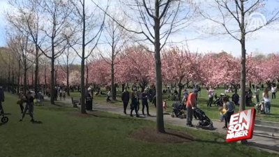 New York'ta ilkbahar