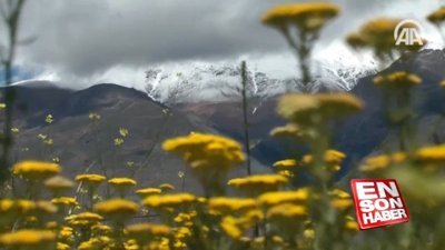 Erzincan'da yüksek kesimlere kar yağdı