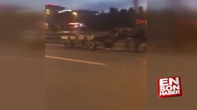 Sol şeritte son sürat ilerleyen at arabası