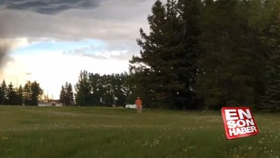 Hortuma aldırmayıp, çim biçmeye devam etti