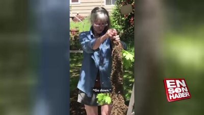 Binlerce arıyı örtü silkeler gibi silkeleyen kadın