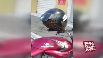 Arı istilasına uğrayan motor kaskı