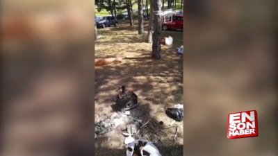 Mangal yakmak için drone kullanan yurdum insanı