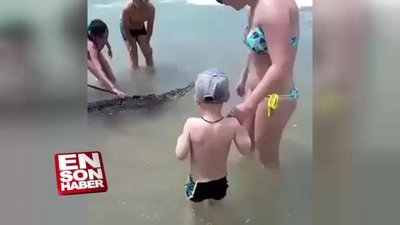 Evcil timsahıyla sahilde turladı