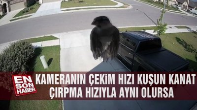 Kameranın çekim hızı, kuşun kanat çırpma hızıyla aynı olursa