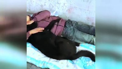 Beşiktaş'ta köpeğe sarılarak uyuyan çocuk