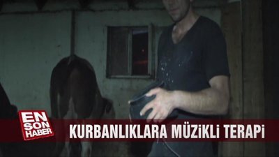 Kurbanlıklara 'müzik'li terapi