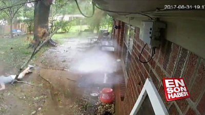 Kırılan ağaç dalından son anda kurtuldu