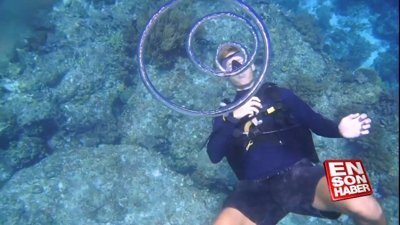 Su altında baloncuk yapma teknikleri
