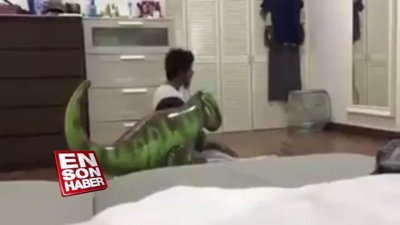 Oyuncak dinozoruna namaz kıldıran çocuk