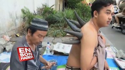 Endonezya'da bufalo boynuzuyla tedavi
