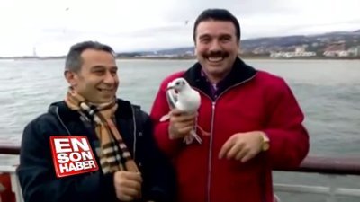 Eliyle martı yakalayan adam