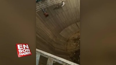 İzleyici dengesini kaybederek gösteri alanına düştü