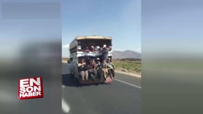 Tarım işçilerinin tehlikeli yolculuğu