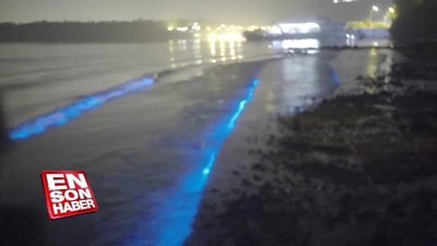 Maldivler‘in Vaadhoo Adası’nda gerçekleşen Biyoyansıma