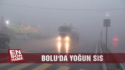 Bolu'da yoğun sis