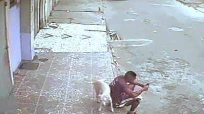 Yol kenarında oturan adama köpekten kötü sürpriz