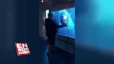 Korkunç sanal köpek balığı şakası