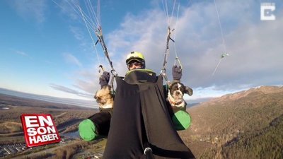 Köpekleriyle yamaç paraşütü yapan adam