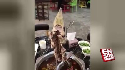 Yemek masasında canlanan balık