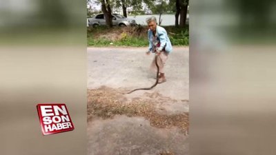Yılanı yere vurarak öldüren yaşlı kadın
