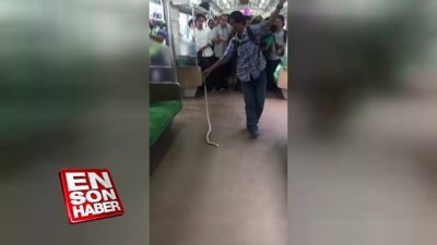 Metroya giren yılanı vahşice etkisiz hale getiren adam