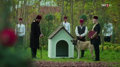 Payitaht Abdülhamid - Köpeklerin Sadakati