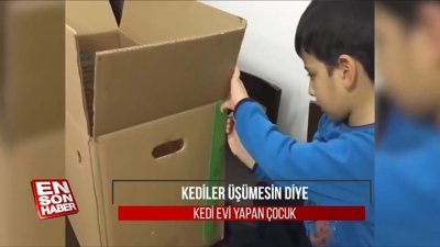 Kediler üşümesin diye kedi evi yapan çocuk