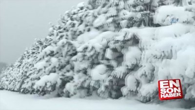 ABD’de kar kalınlığı 1 metreyi aştı 